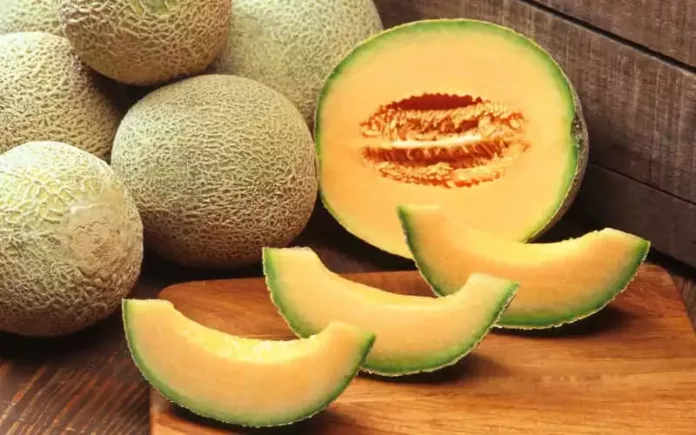 Le Maroc est deuxième exportateur de melons en Espagne.