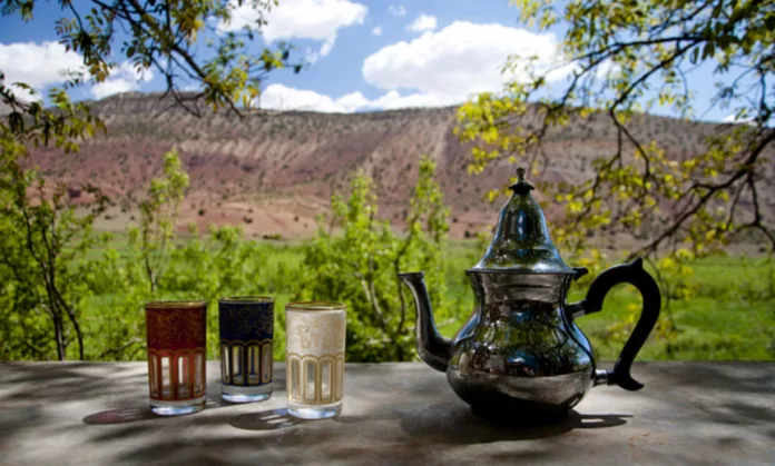 La culture du thé marocain - vers de nouvelles saveurs mondiales