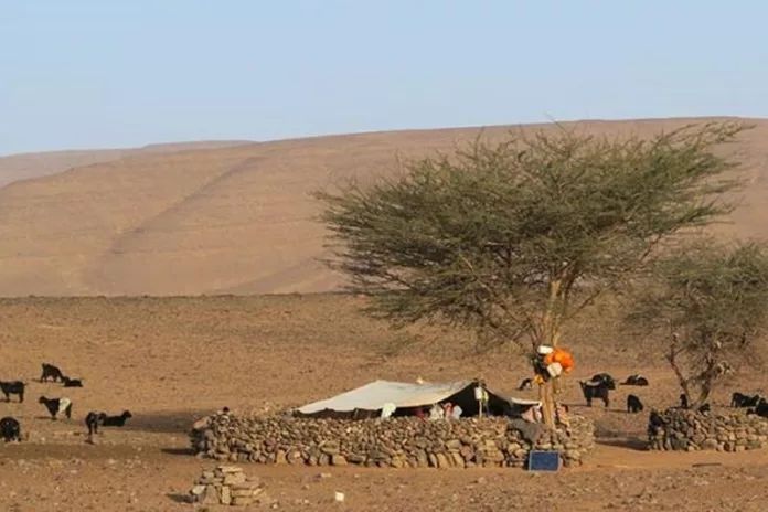 Préserver le patrimoine culturel du Sahara marocain - les traditions nomades à l'ère moderne