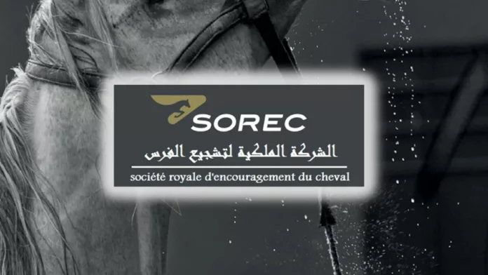 La SOREC : Pilier de l'Équitation et de l'Élevage Équin au Maroc