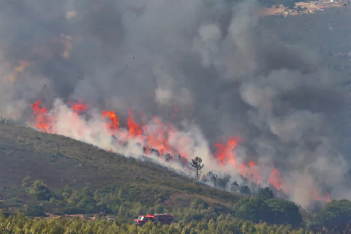 Le Maroc intensifie la sensibilisation aux risques d'incendies de forêt