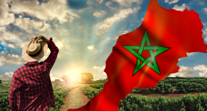 Agriculture au Maroc : 4 Milliards DHS de Soutien